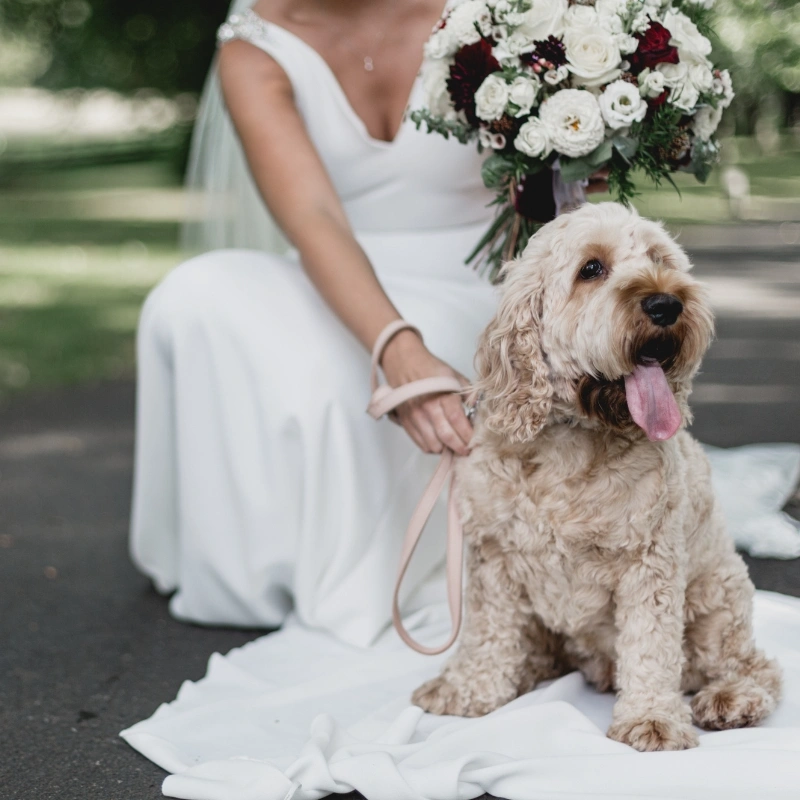 Bride-with-pet